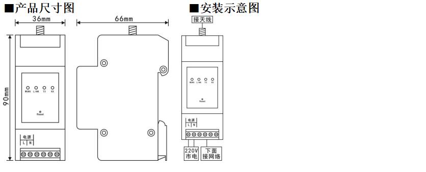 王中特王