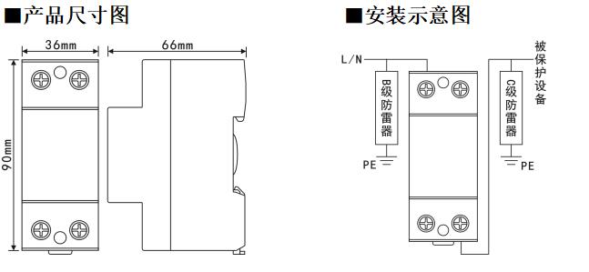 王中特王