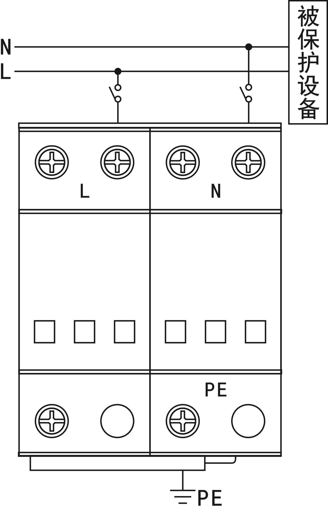 王中特王